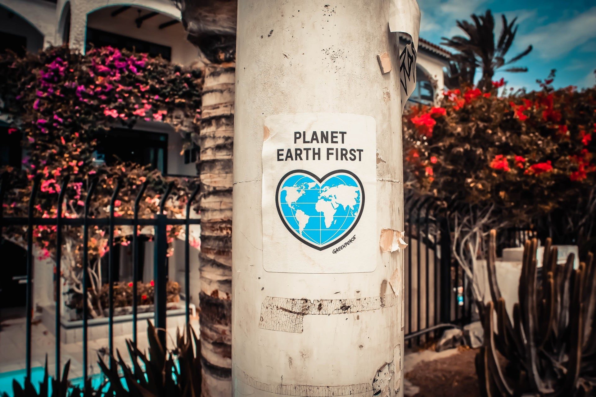 Earth poster