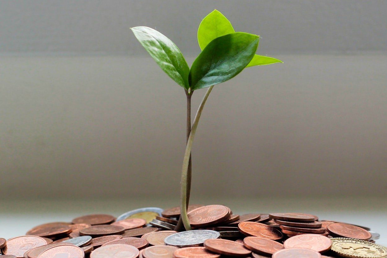 growing_plant